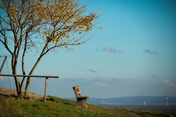 Tai-chi : Le Secret Ancestral pour Booster la Mobilité et la Souplesse des Seniors